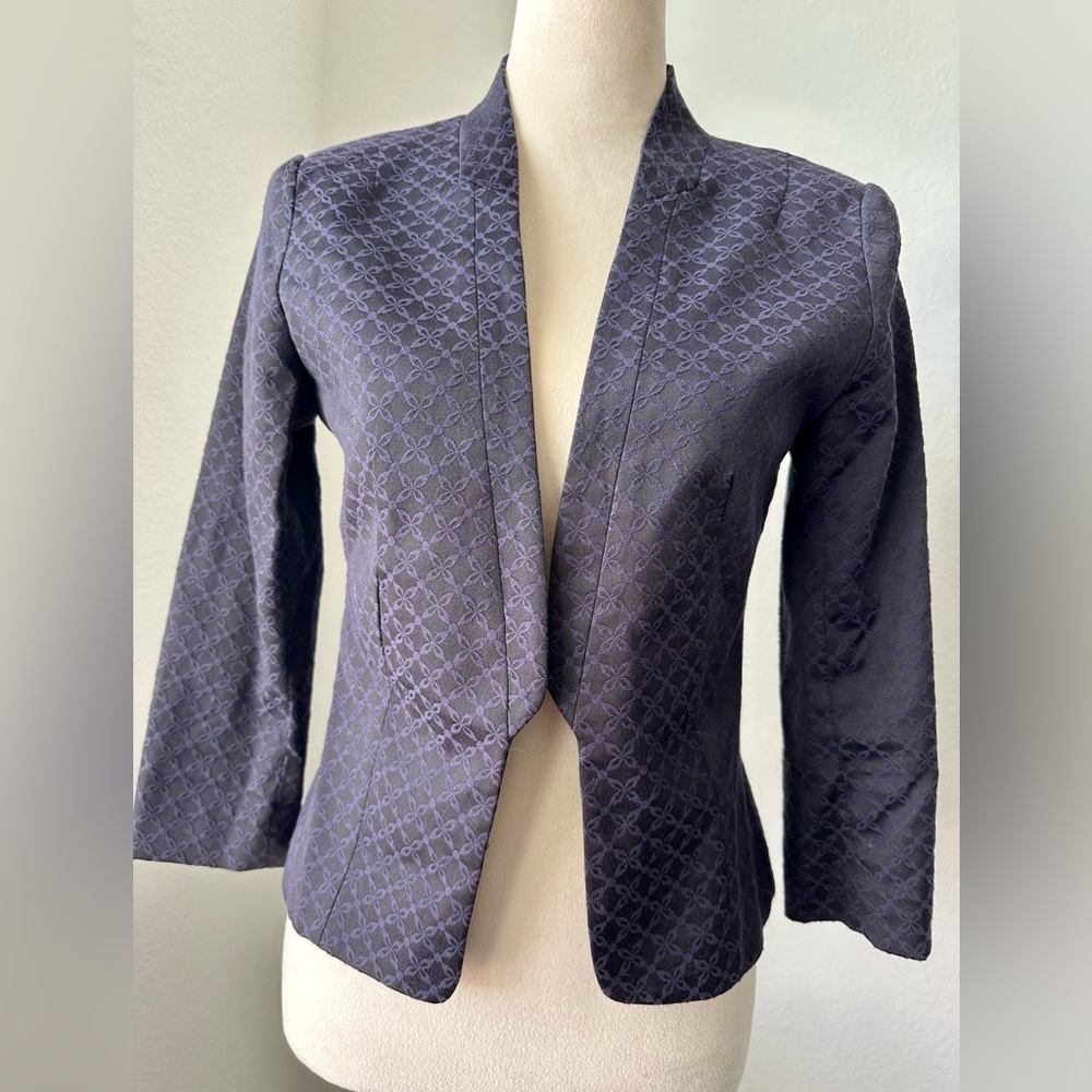 Embroidered Purple Blazer H&M